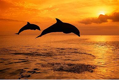 《真三国无双：起源》华雄周泰司马徽介绍 都是狠人！